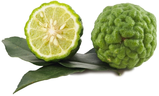 Citron combava bio (fruit frais) en ligne direct producteur à Orleans